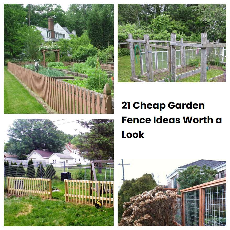 21-cheap-garden-fence-ideas-worth-a-look-sharonsable