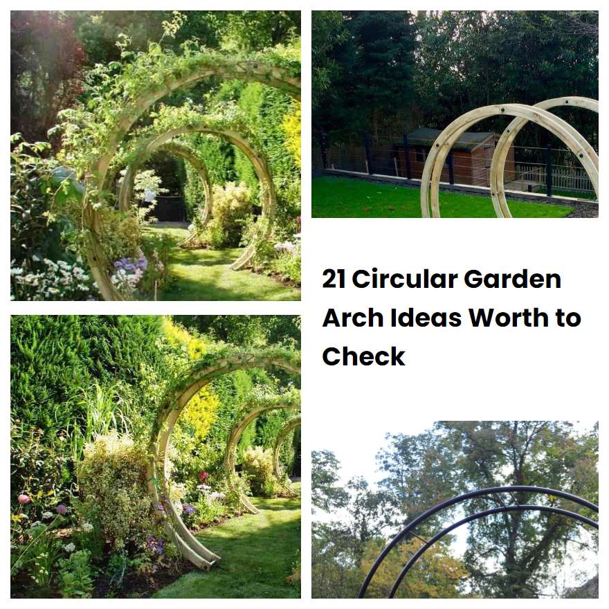21 Circular Garden Arch Ideas Worth to Check SharonSable