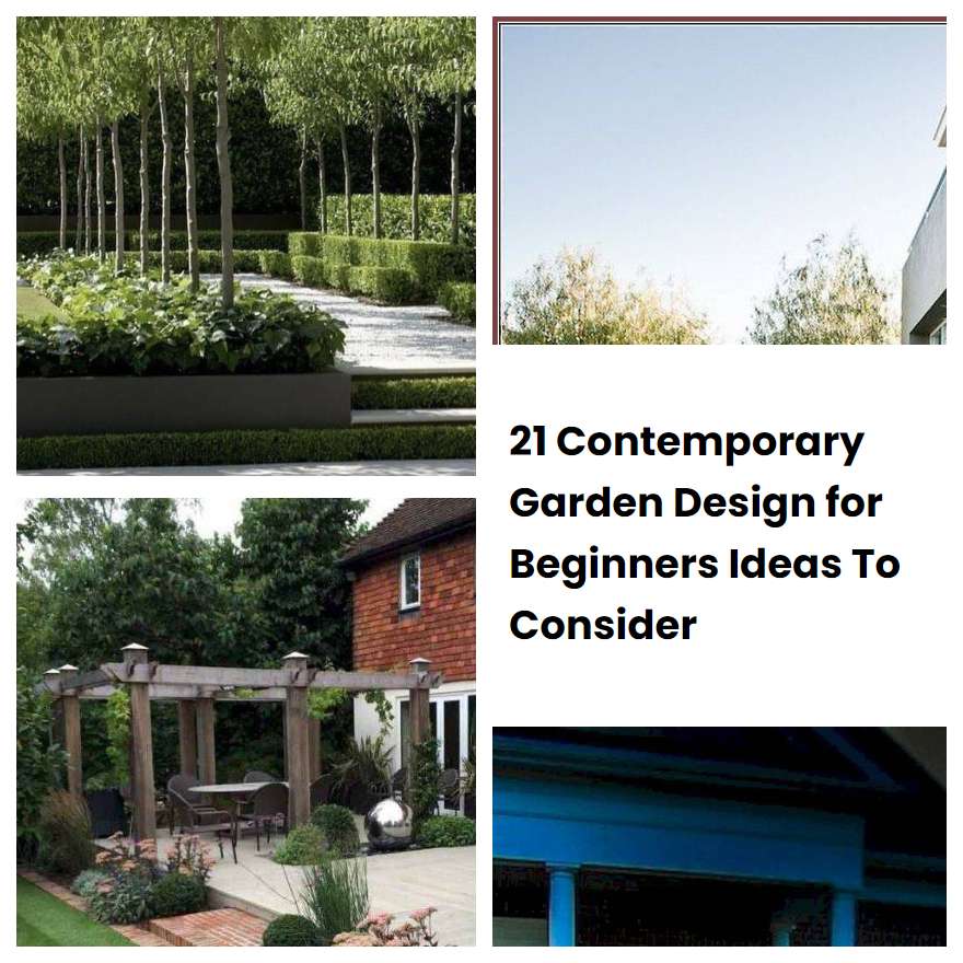 21 Contemporary Garden Design for Beginners Ideas To Consider SharonSable