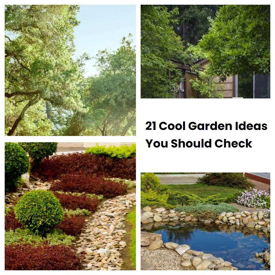 21 Cool Garden Ideas You Should Check