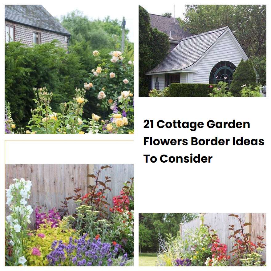 21 Cottage Garden Flowers Border Ideas To Consider