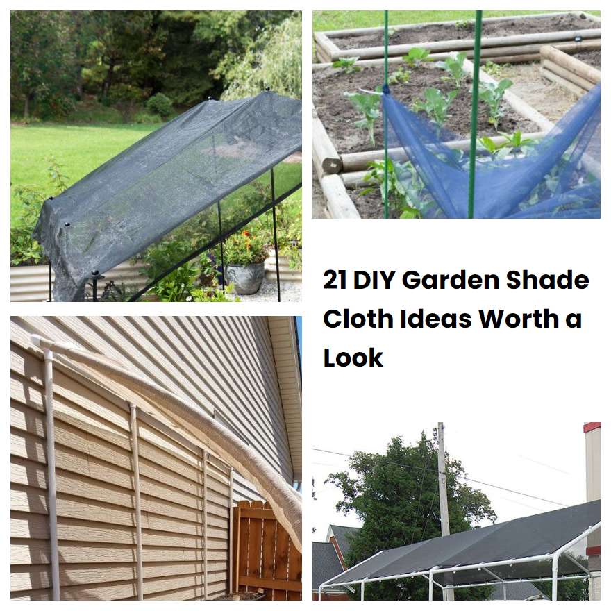 21 DIY Garden Shade Cloth Ideas Worth a Look SharonSable