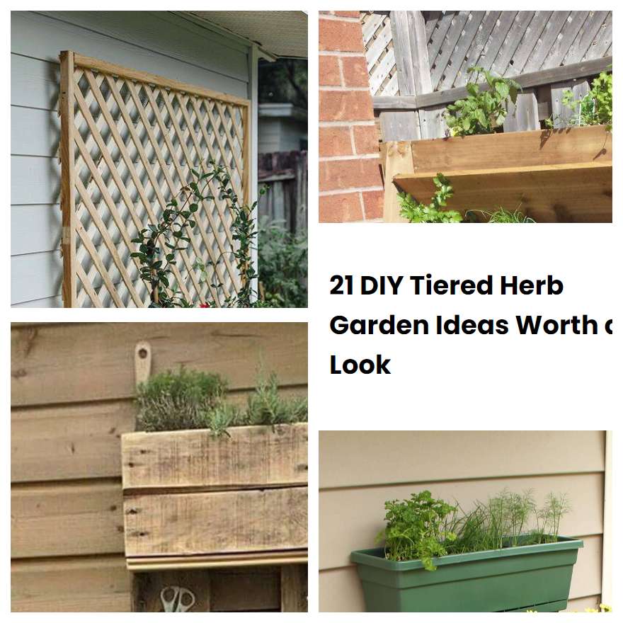 21 DIY Tiered Herb Garden Ideas Worth a Look