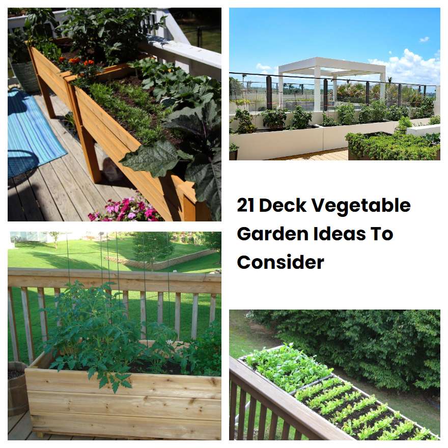 21 Deck Vegetable Garden Ideas To Consider