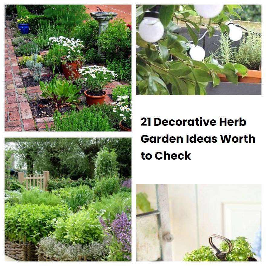 21 Decorative Herb Garden Ideas Worth to Check SharonSable