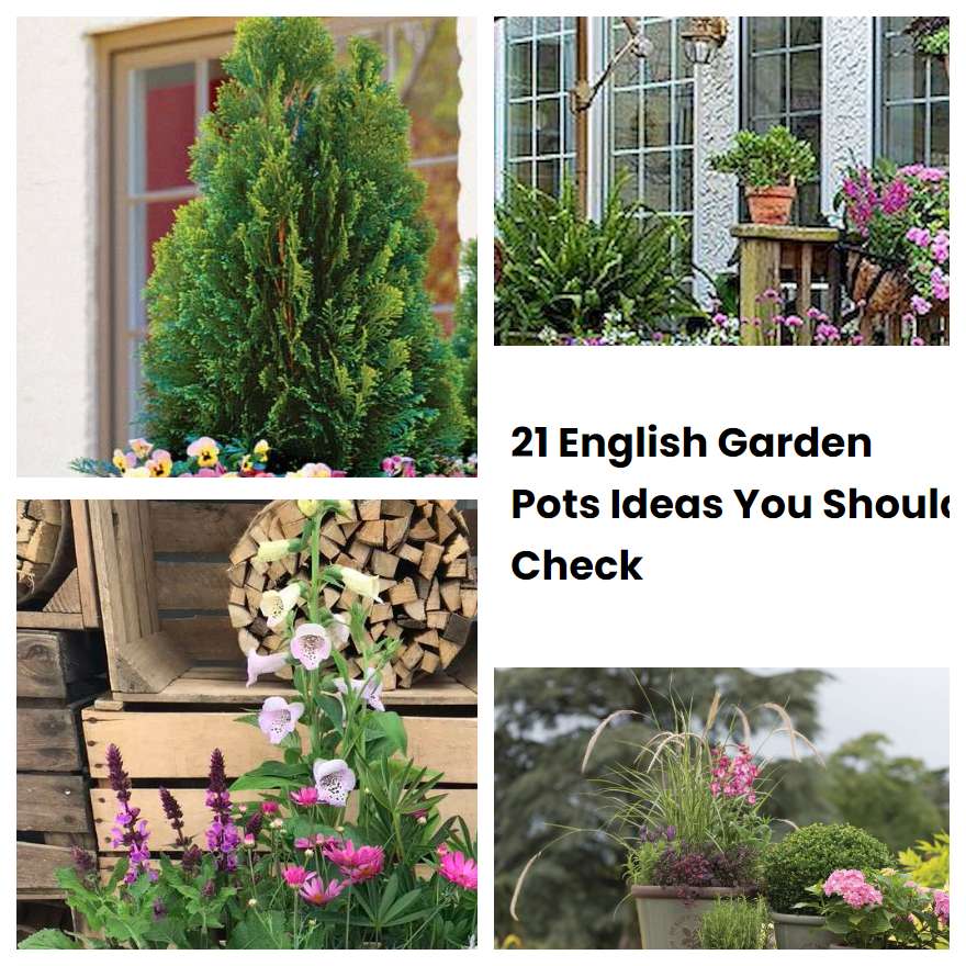 21 English Garden Pots Ideas You Should Check SharonSable