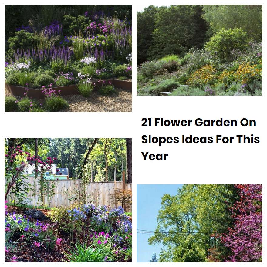 21 Flower Garden On Slopes Ideas For This Year