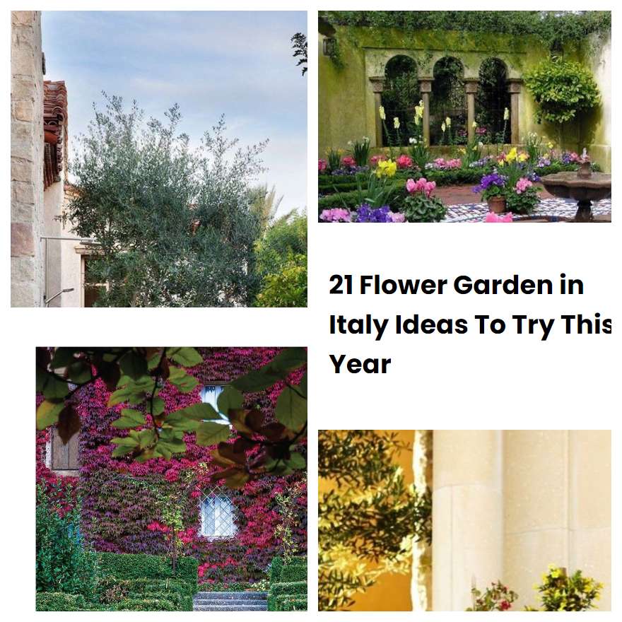 21 Flower Garden in Italy Ideas To Try This Year