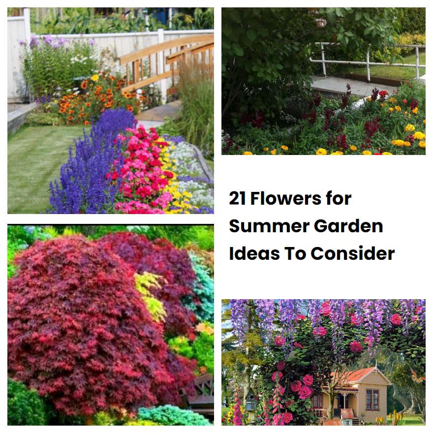 21 Flowers for Summer Garden Ideas To Consider
