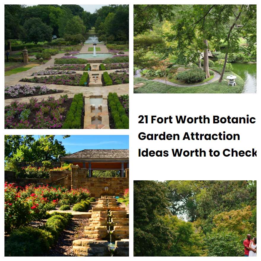 21 Fort Worth Botanic Garden Attraction Ideas Worth to Check