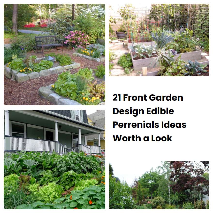 21 Front Garden Design Edible Perrenials Ideas Worth a Look