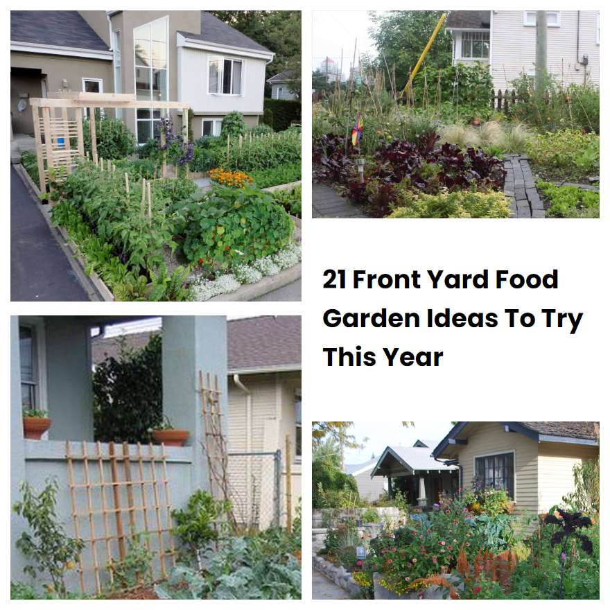 21 Front Yard Food Garden Ideas To Try This Year SharonSable