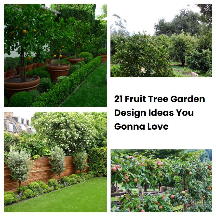 21 Fruit Tree Garden Design Ideas You Gonna Love SharonSable 21-fruit-tree-garden-design-ideas-you-gonna-love-sharonsable