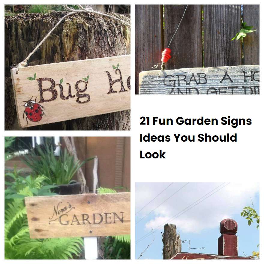 21 Fun Garden Signs Ideas You Should Look