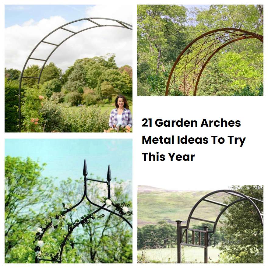 21 Garden Arches Metal Ideas To Try This Year