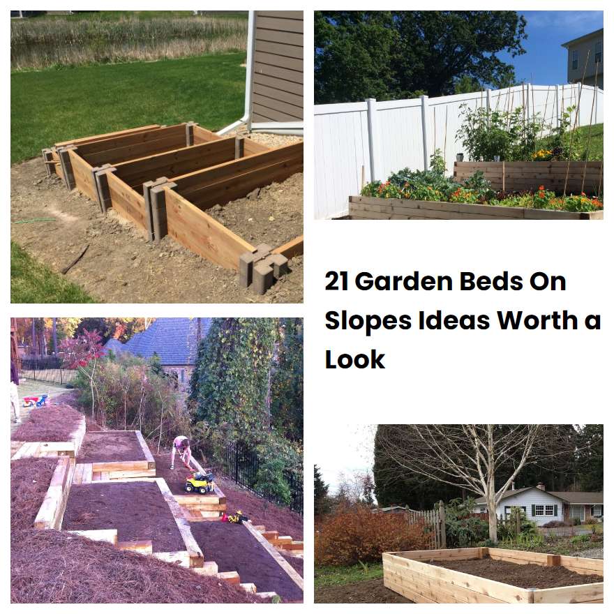 21 Garden Beds On Slopes Ideas Worth a Look SharonSable