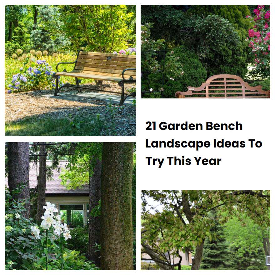 21 Garden Bench Landscape Ideas To Try This Year