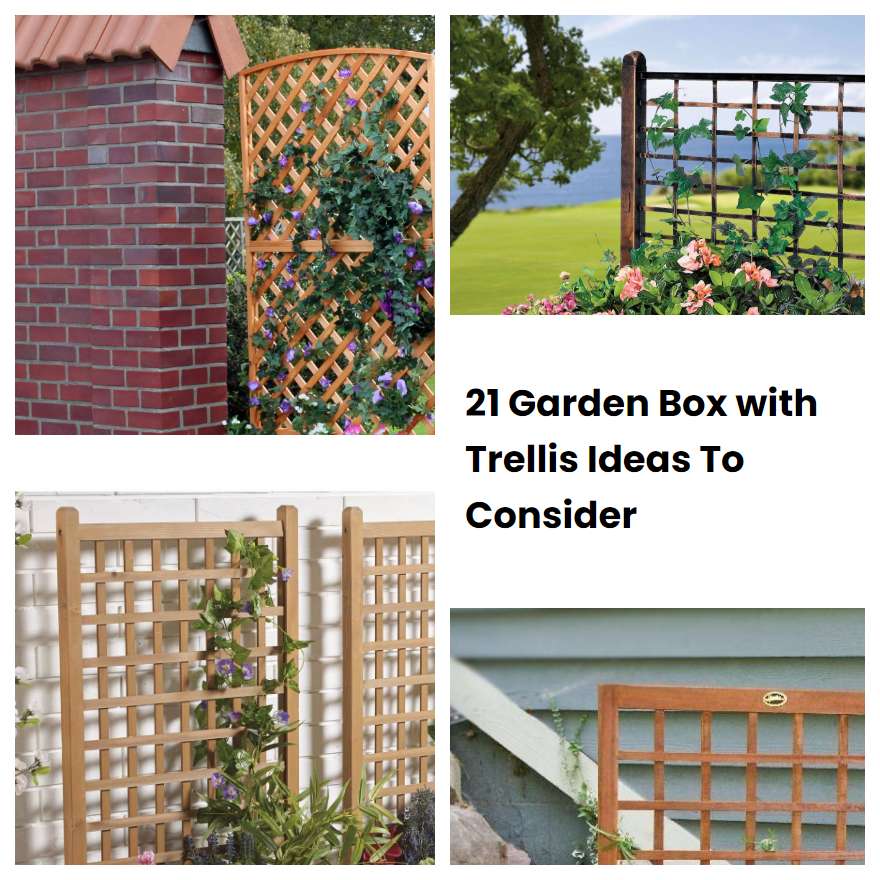 21 Garden Box with Trellis Ideas To Consider