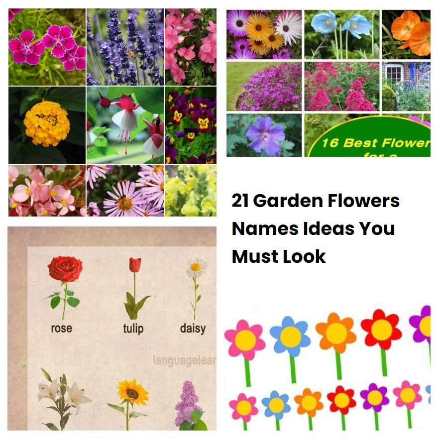 21 Garden Flowers Names Ideas You Must Look