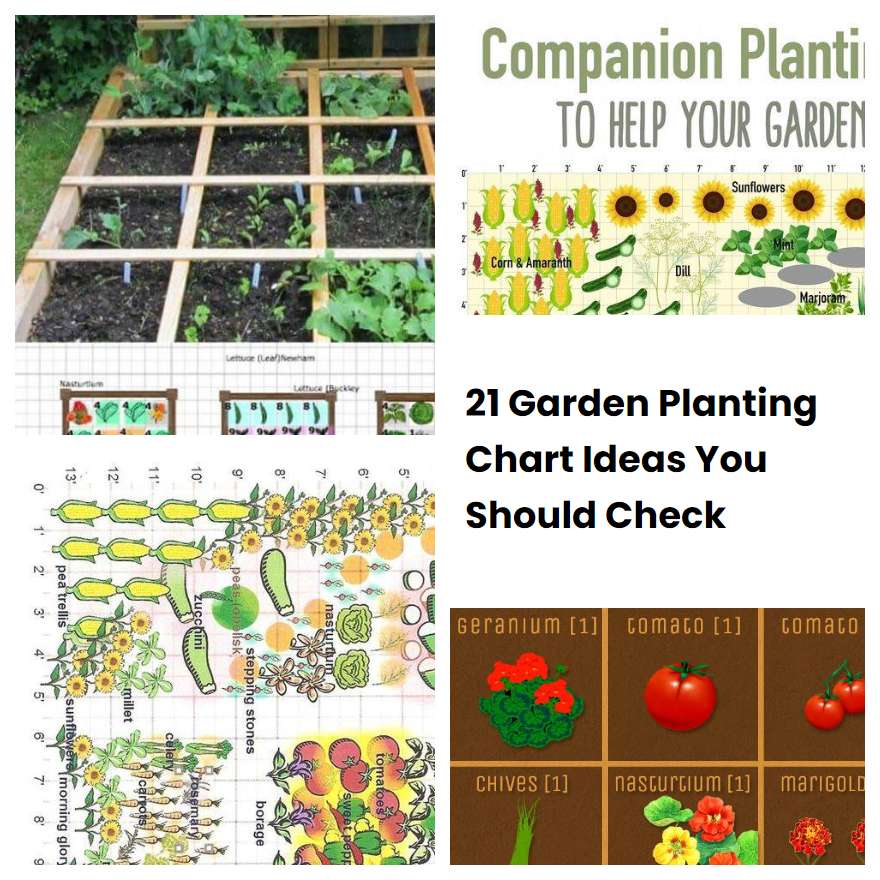 21 Garden Planting Chart Ideas You Should Check