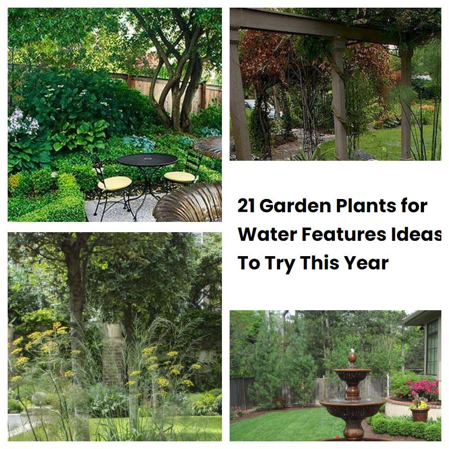 21 Garden Plants for Water Features Ideas To Try This Year SharonSable