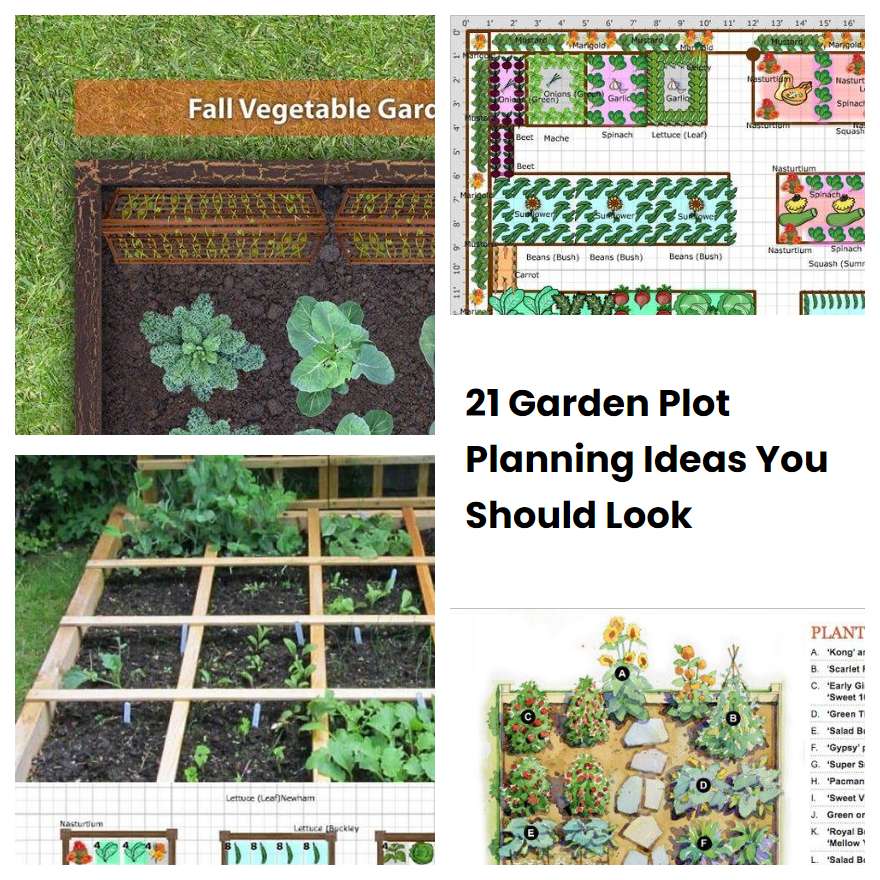 21 Garden Plot Planning Ideas You Should Look SharonSable