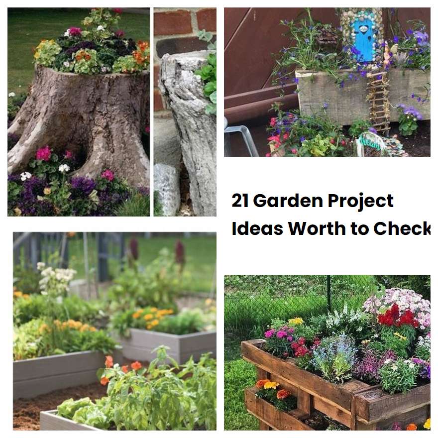 21 Garden Project Ideas Worth to Check SharonSable
