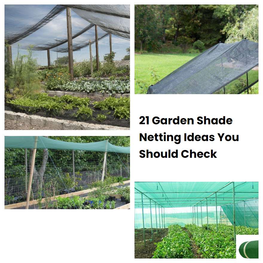 21 Garden Shade Netting Ideas You Should Check SharonSable