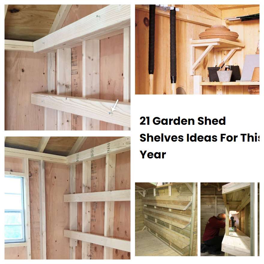 21 Garden Shed Shelves Ideas For This Year