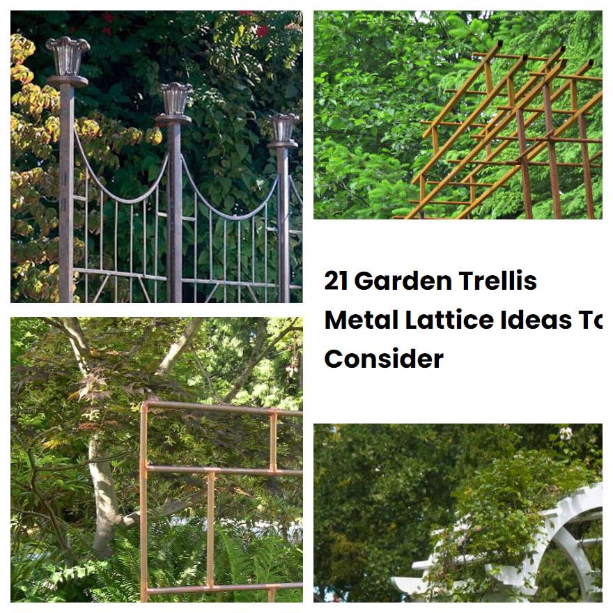 21 Garden Trellis Metal Lattice Ideas To Consider
