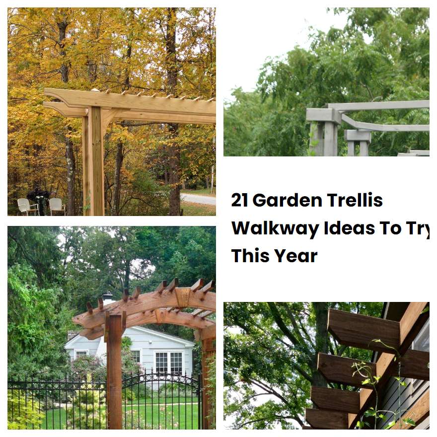 21 Garden Trellis Walkway Ideas To Try This Year SharonSable