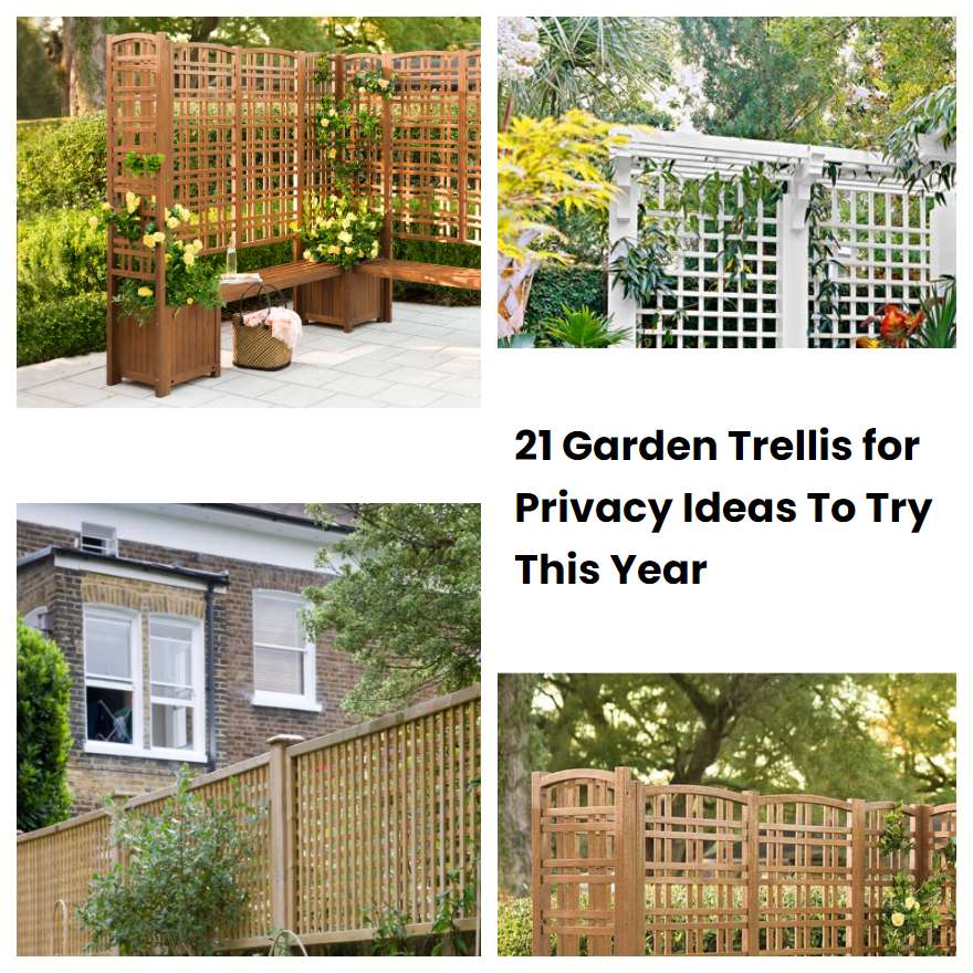 21 Garden Trellis for Privacy Ideas To Try This Year SharonSable