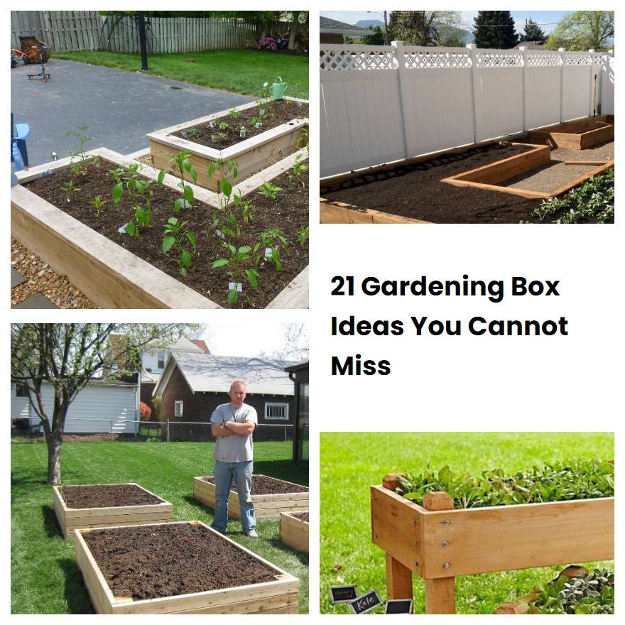 21 Gardening Box Ideas You Cannot Miss SharonSable