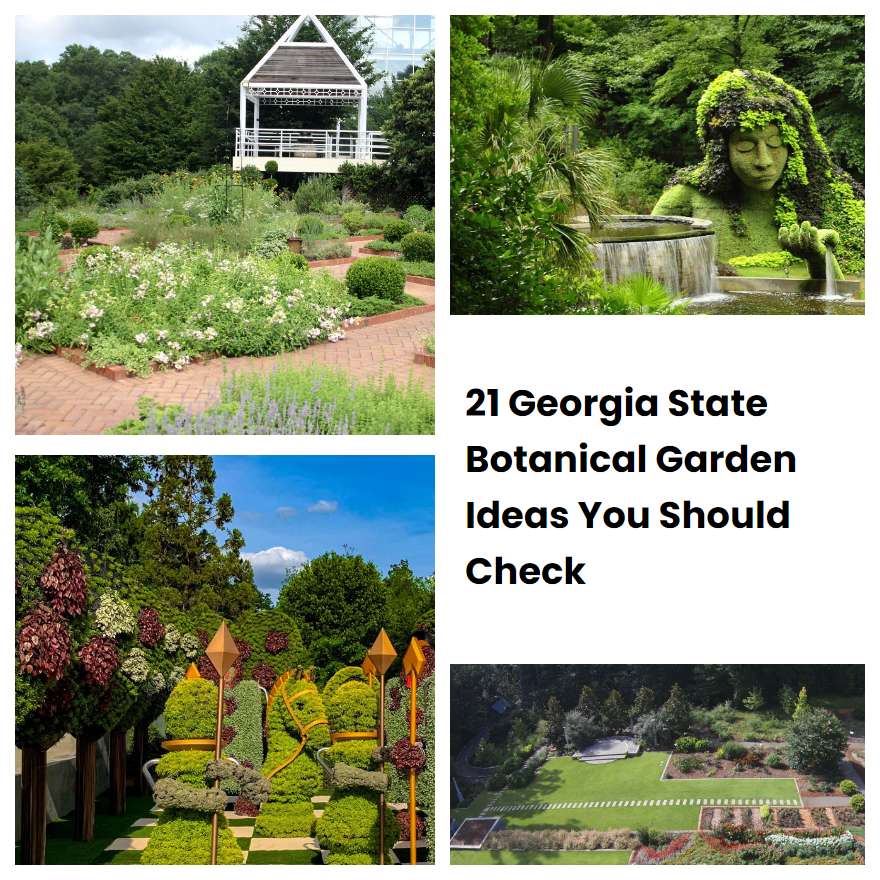 21 Georgia State Botanical Garden Ideas You Should Check