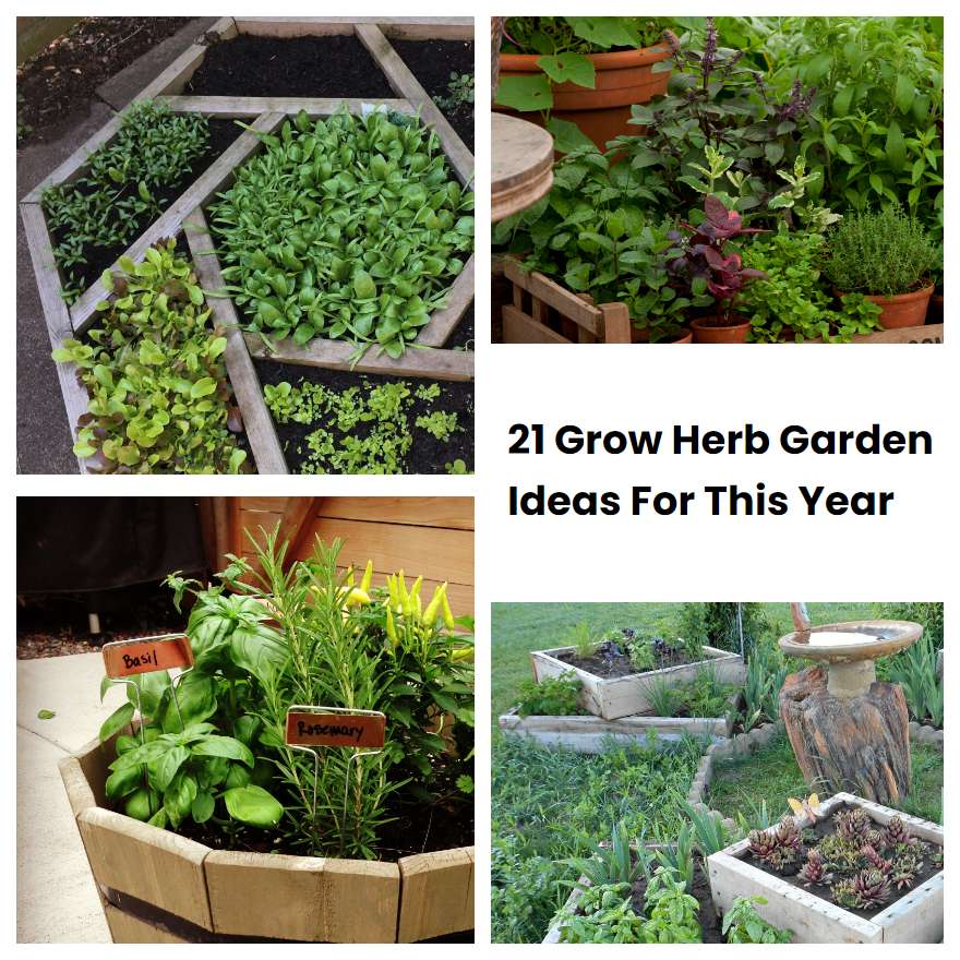 21 Grow Herb Garden Ideas For This Year