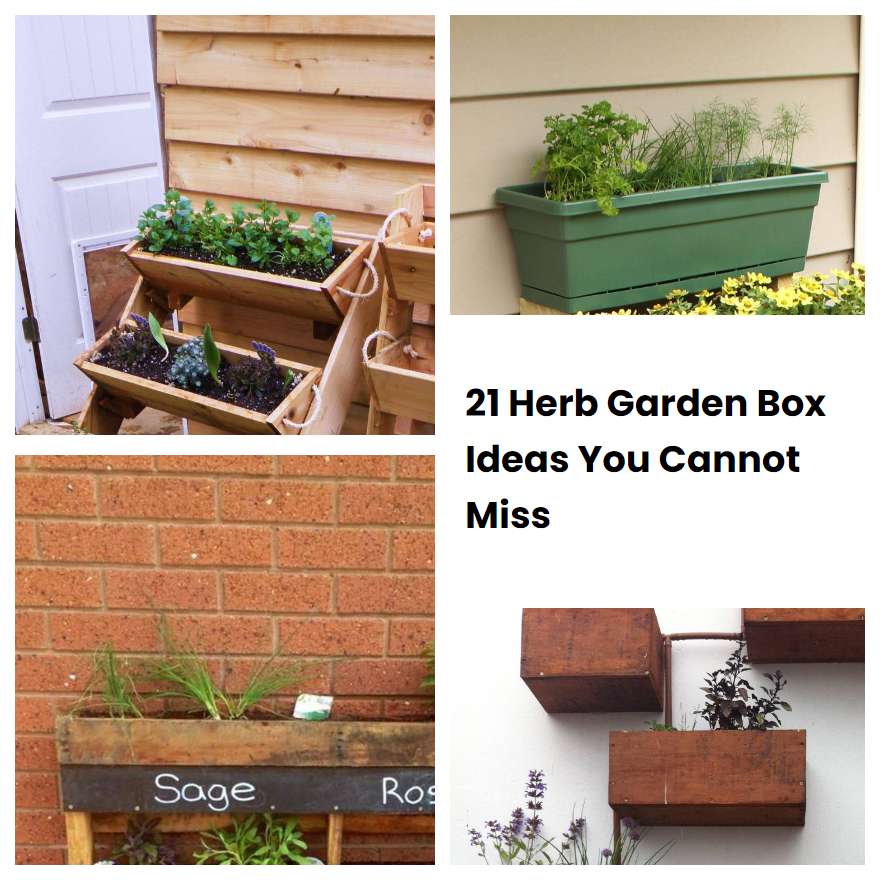 21 Herb Garden Box Ideas You Cannot Miss