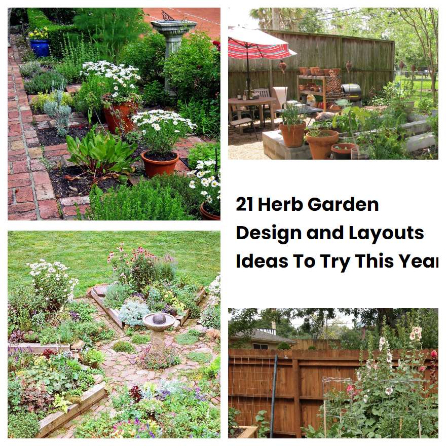 21 Herb Garden Design and Layouts Ideas To Try This Year