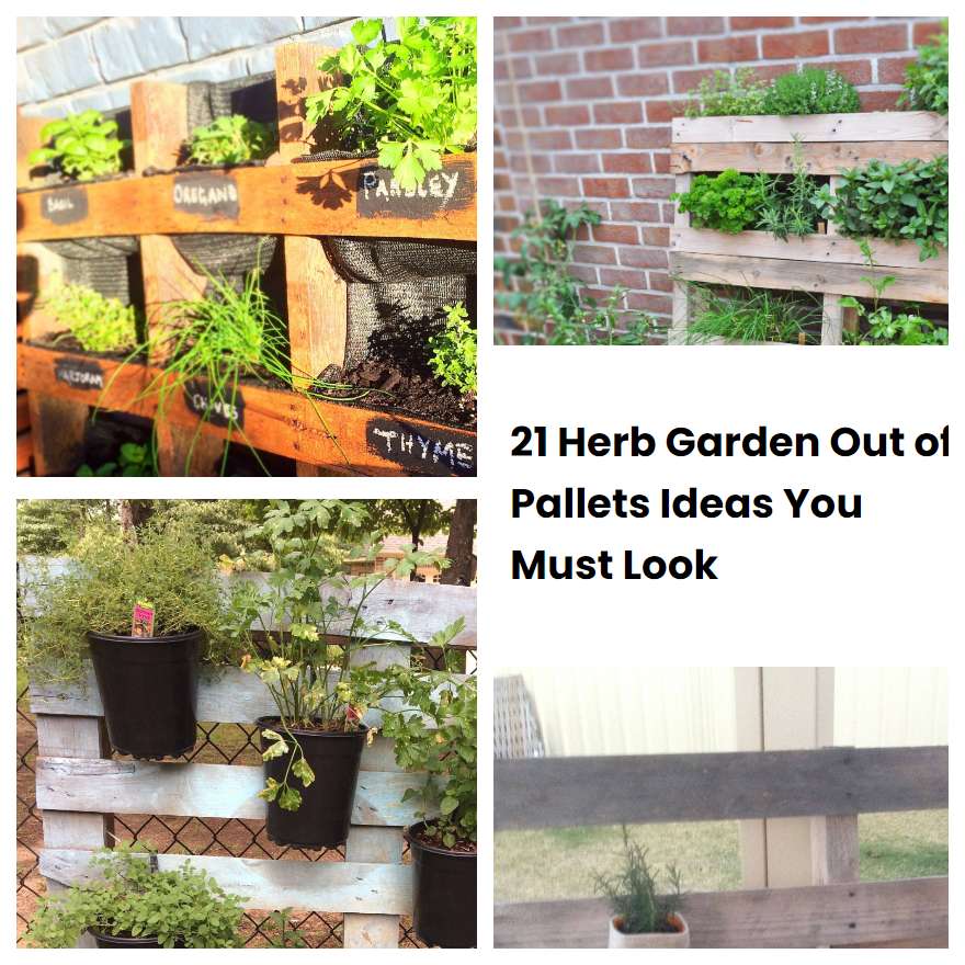 21 Herb Garden Out of Pallets Ideas You Must Look