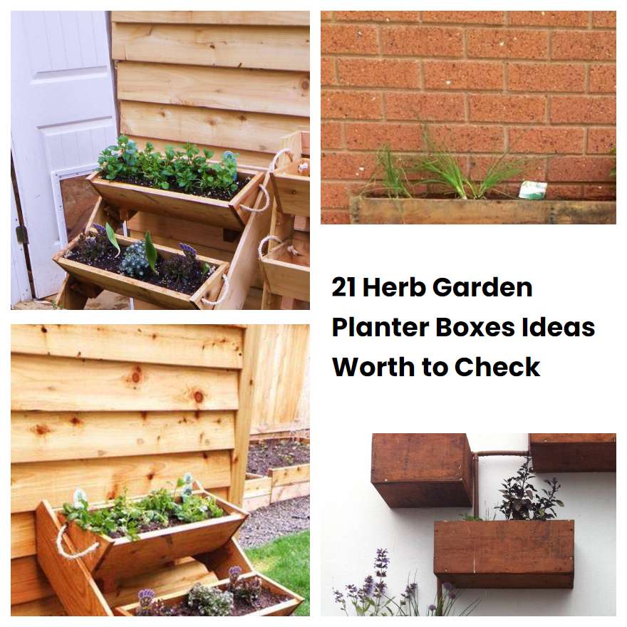 21 Herb Garden Planter Boxes Ideas Worth to Check SharonSable