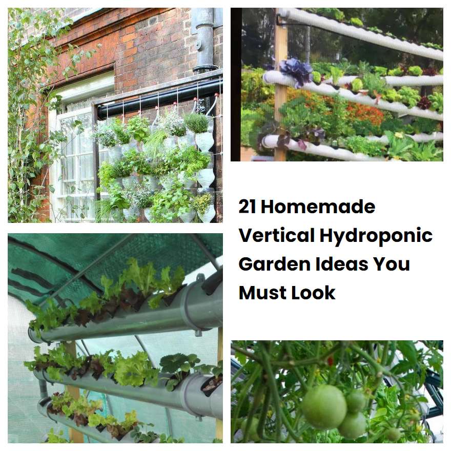 21 Homemade Vertical Hydroponic Garden Ideas You Must Look SharonSable