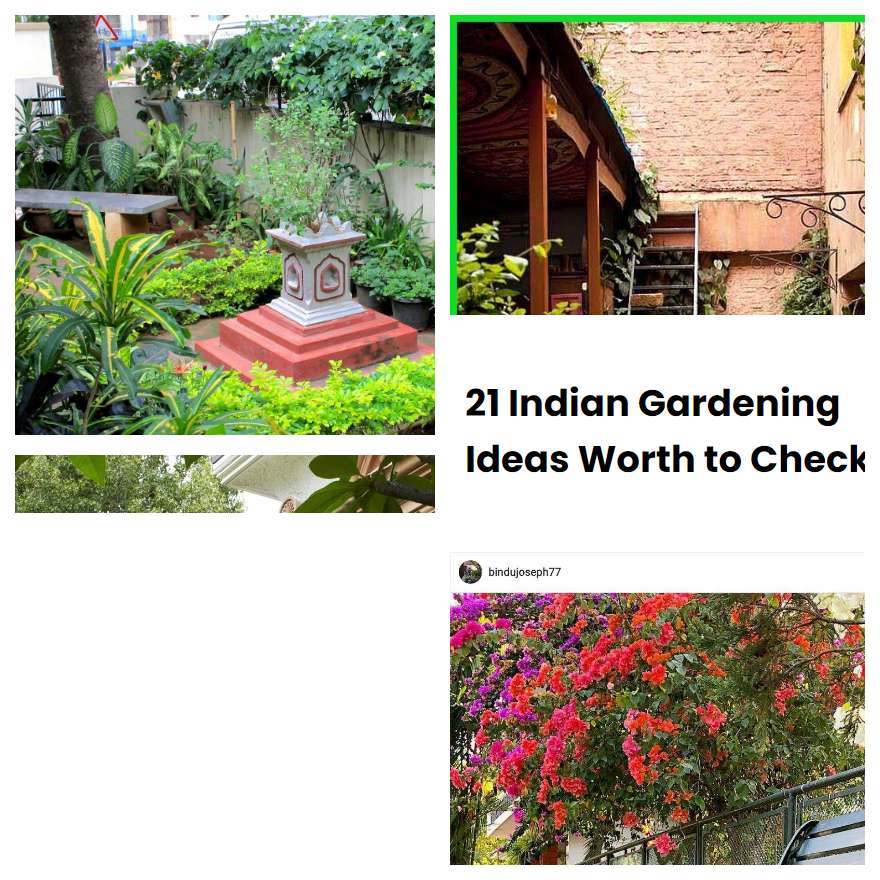 21 Indian Gardening Ideas Worth to Check