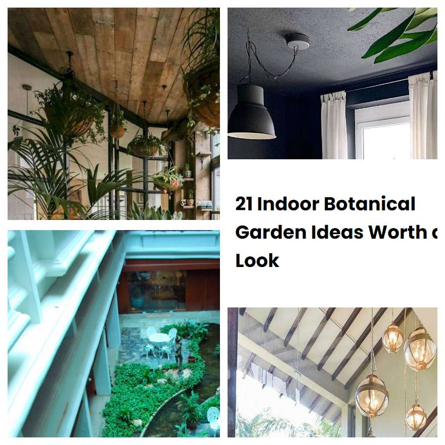 21 Indoor Botanical Garden Ideas Worth a Look