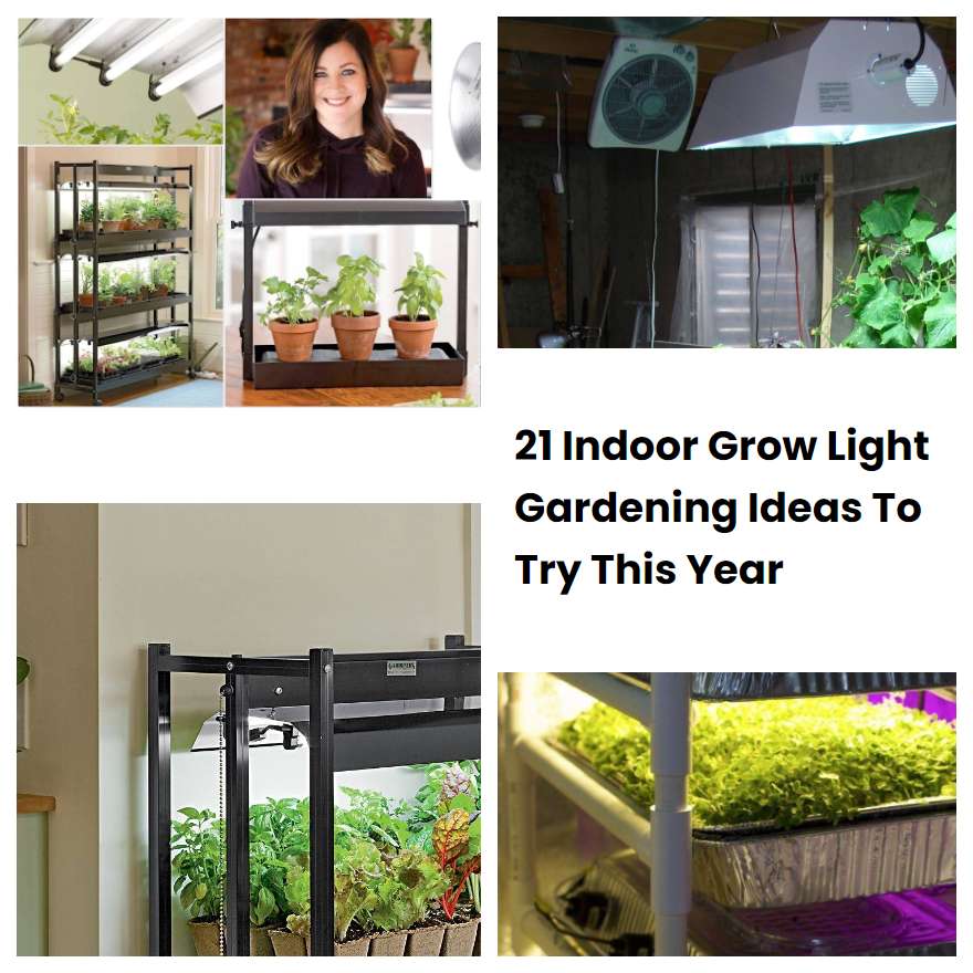 21 Indoor Grow Light Gardening Ideas To Try This Year