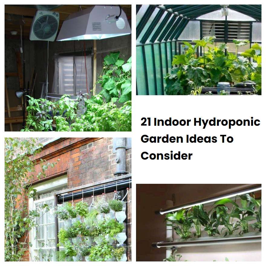 21 Indoor Hydroponic Garden Ideas To Consider SharonSable
