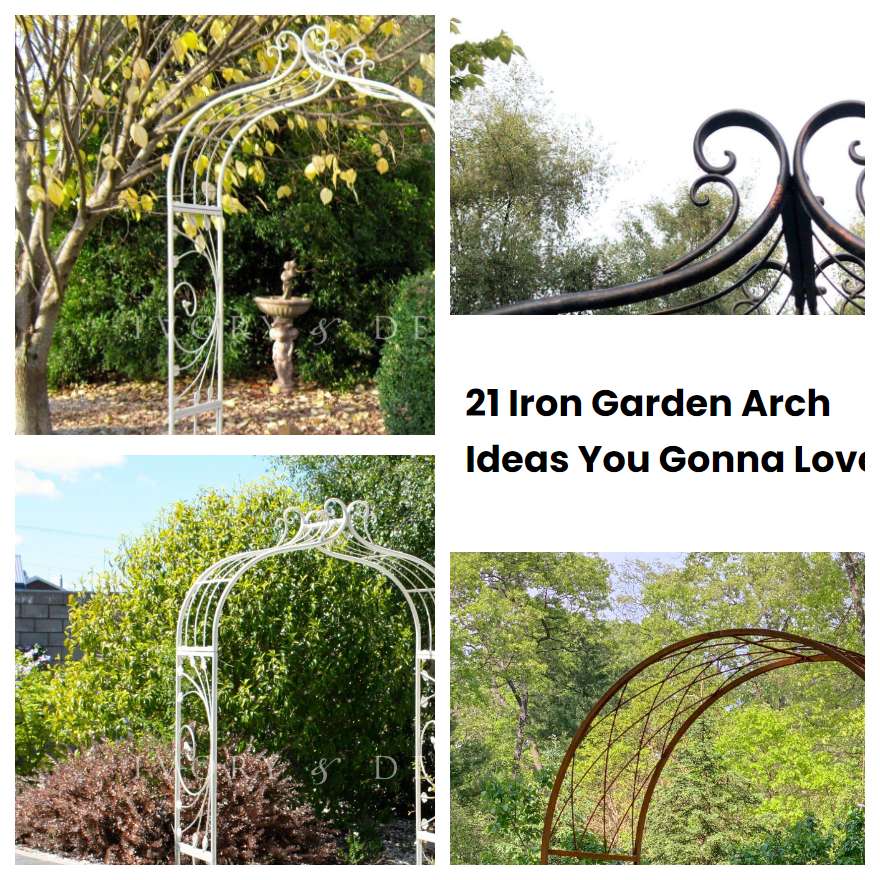 21 Iron Garden Arch Ideas You Gonna Love