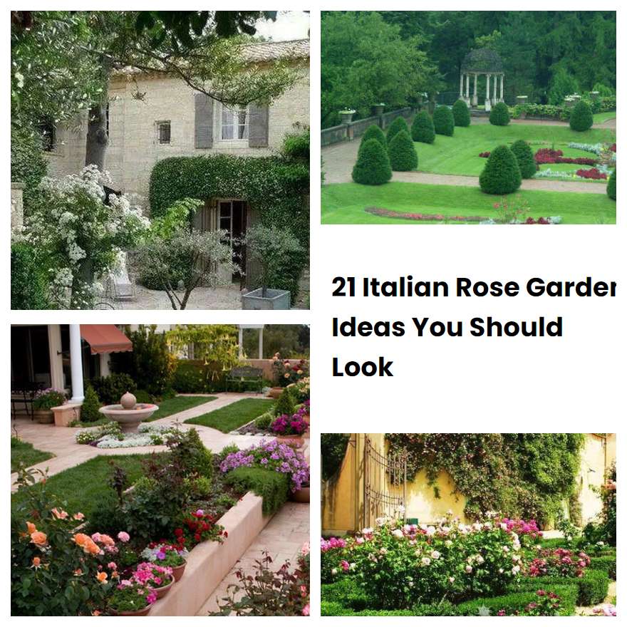 21 Italian Rose Garden Ideas You Should Look