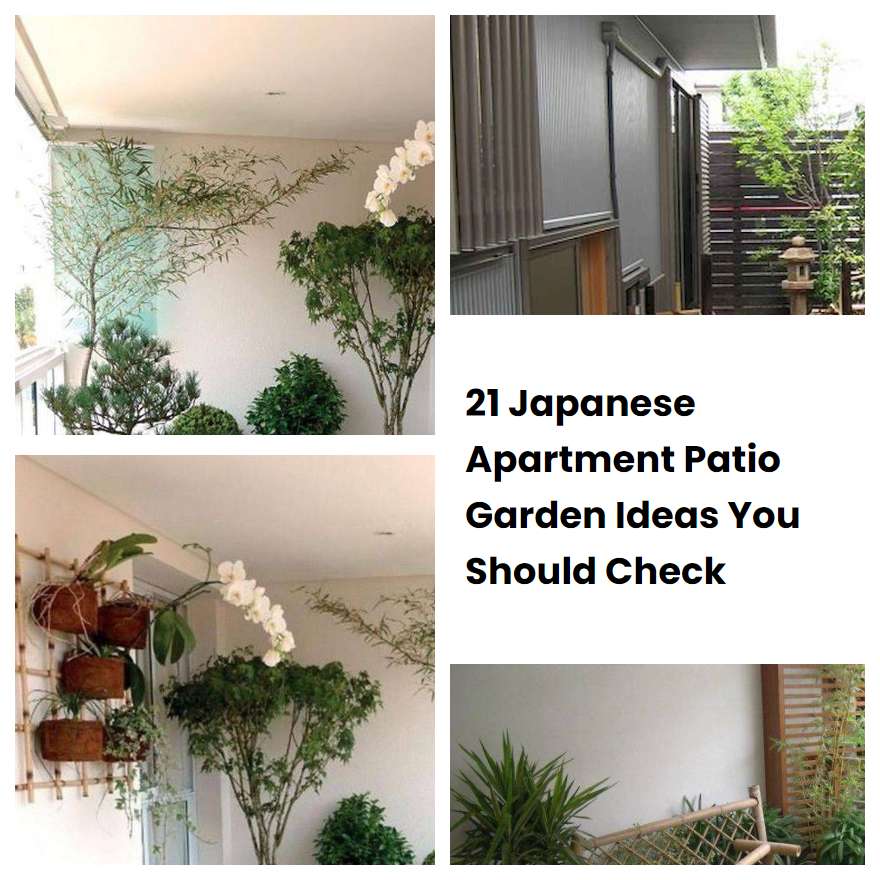 21 Japanese Apartment Patio Garden Ideas You Should Check