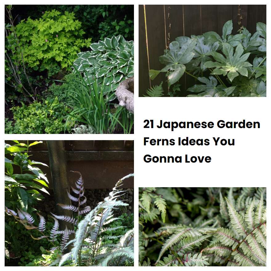 21 Japanese Garden Ferns Ideas You Gonna Love