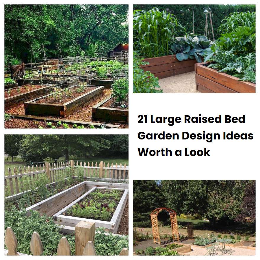 21 Large Raised Bed Garden Design Ideas Worth a Look