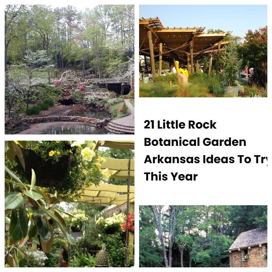21 Little Rock Botanical Garden Arkansas Ideas To Try This Year